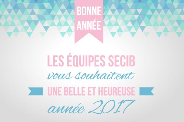 Meilleurs voeux pour 2017 ! 